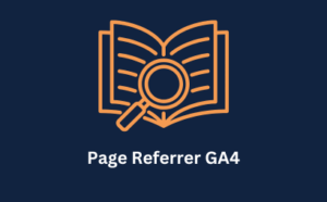 Page Referrer